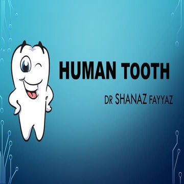TEETHS (brief outline for teeth for kids).pptx