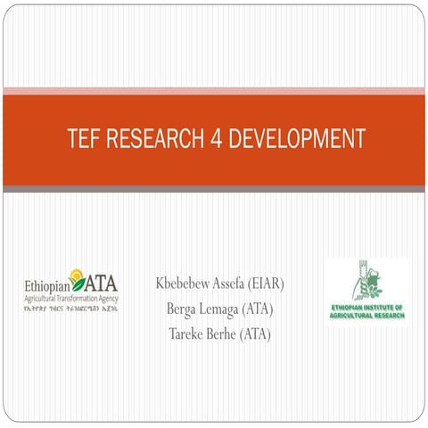 Tef research 4 development