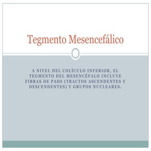 Tegmento Mesencefálico