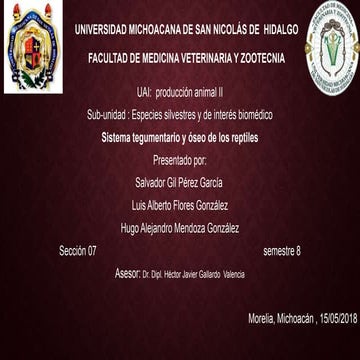 Sistema tegumentario y osteologia de los reptiles
