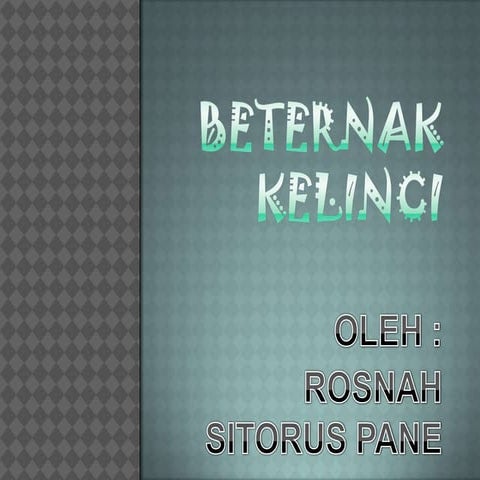 Tehnik beternak kelinci