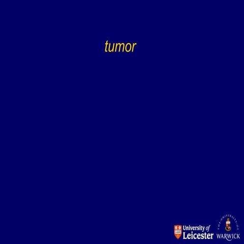 tumor - DEFINITION AND DESCRIPTON