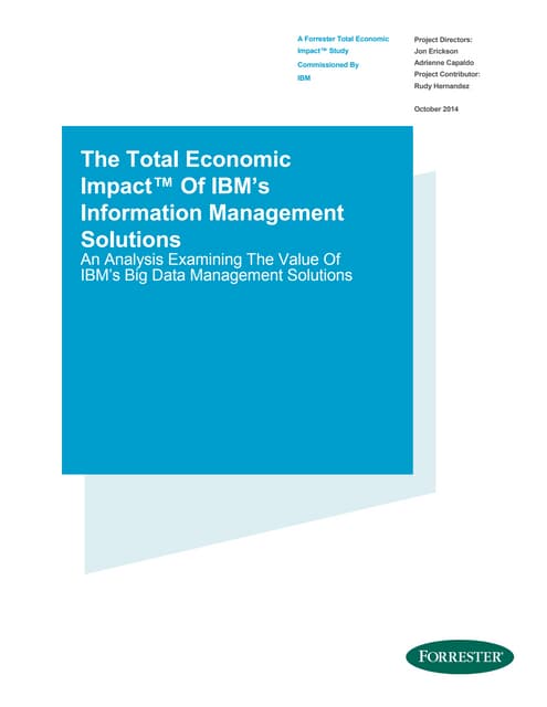 TEI of IBM Information Management Solutions