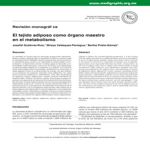 Tejido adiposo como organo