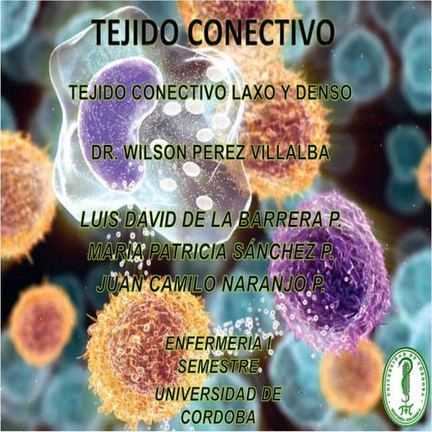 Tejido conectivo DIAPOSITIVAS