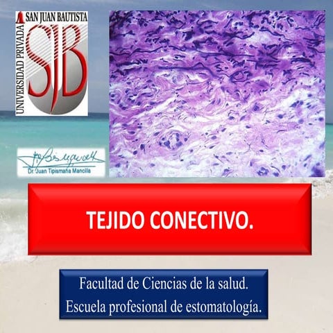 Tejido conectivo parte 1