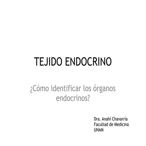 Histología del sistema endocrino