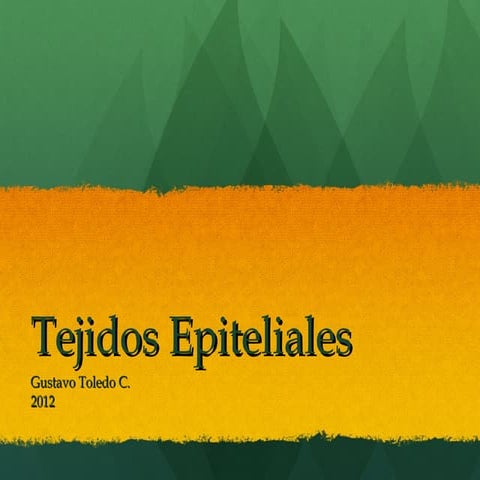 Tejido epitelial