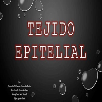 Tejido epitelial