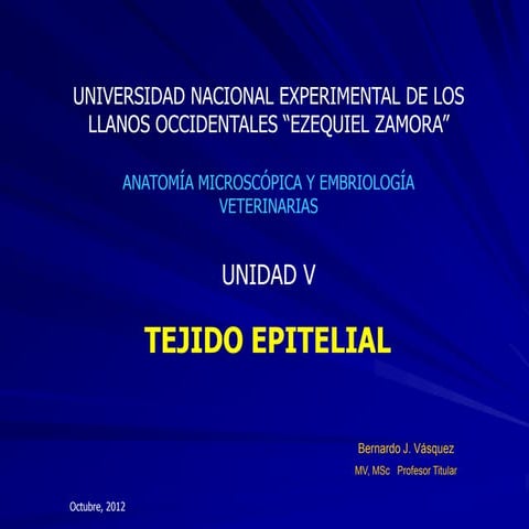 Tejido epitelial 2012