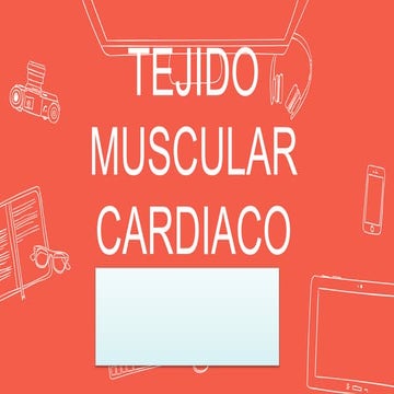 Tejido muscular cardiaco