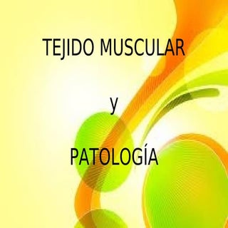 Tejido muscular pdf