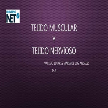 Tejido muscular y tejido nervioso