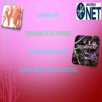 Tejido muscular y tejido nervioso