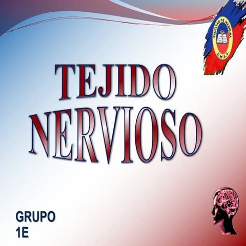 Tejido nervioso histologia 
