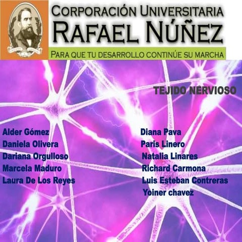 Tejido nervioso, neurona neuroglia y todo lo referente a el.