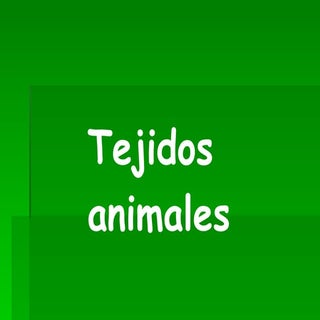 Tejidos
