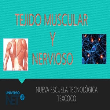 TEJIDO MUSCULAR Y NERVIOSO