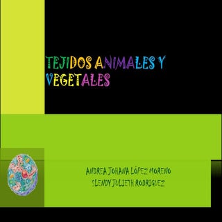 Tejidos animales y vegetales