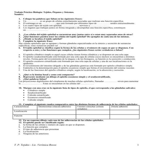 Tejidos, Organos Y Sistemas