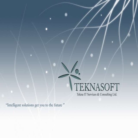 Teknasoft IT Services & Consulting Presentation