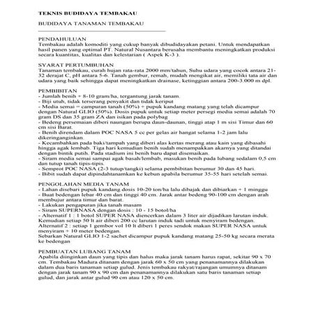 Teknis budidaya tembakau