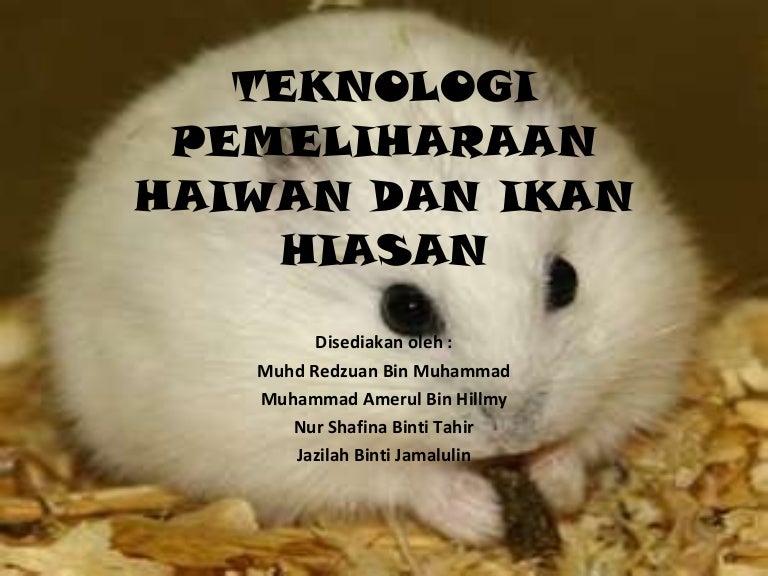 Teknologi Pemeliharaan Haiwan Dan Ikan Hiasan