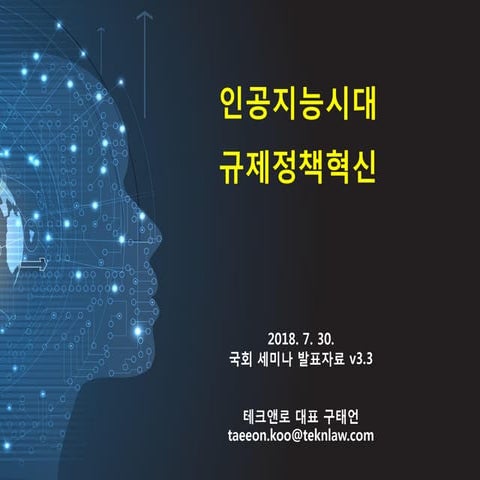 [TEK] 인공지능 시대 규제정책 혁신방안