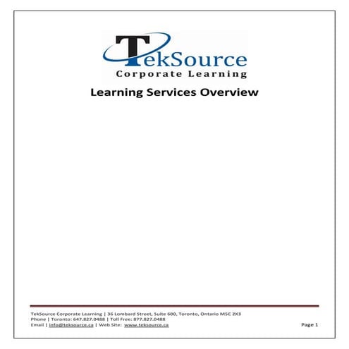 TekSource Executive Overview
