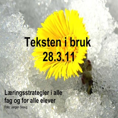 Teksten i bruk 28.3