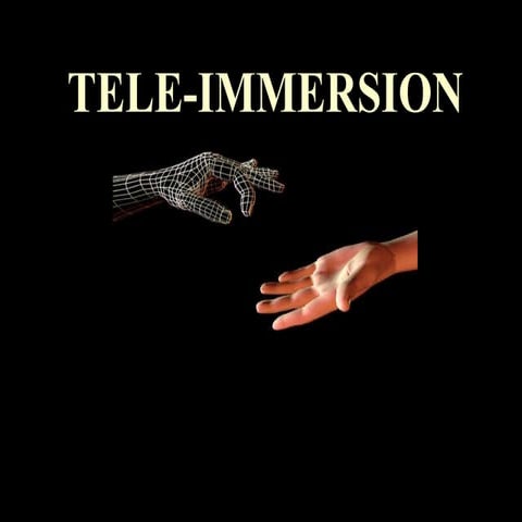 Tele immersion