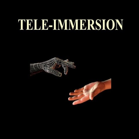 Tele immersion