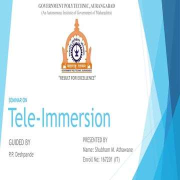 Tele immersion | 2021