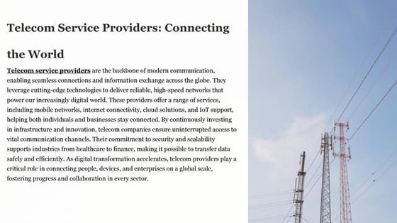 Pan terra presentation, why customers should choose panterra ...