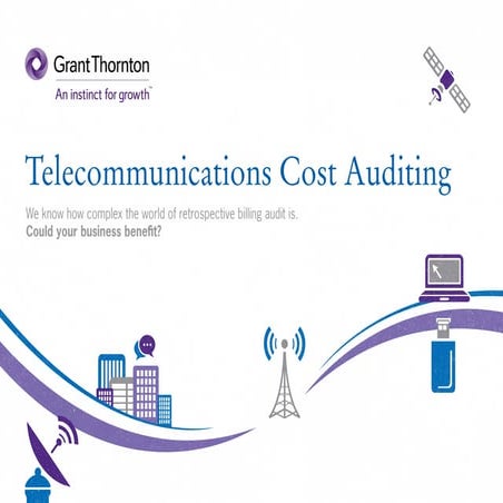 Telecommunications cost auditing | PDF