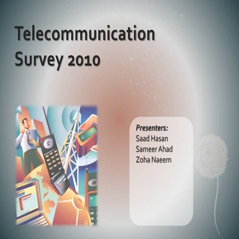 Telecommunication survey 2010