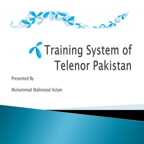 Telenor’s Training System