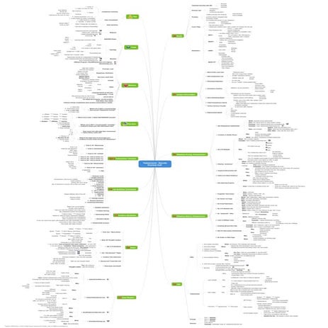Teleseminar secrets preview 2008 09 -- mindmap
