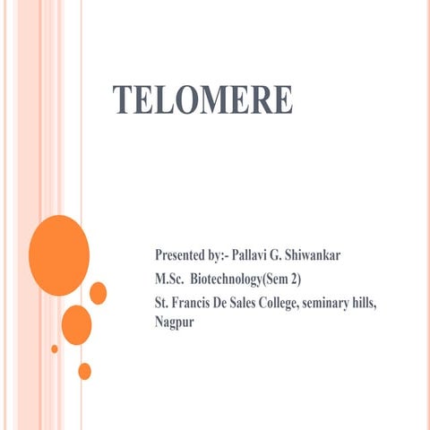 Telomere Pptx