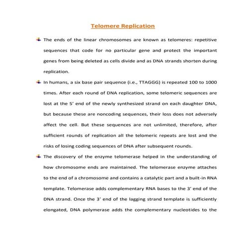 Telomere replication