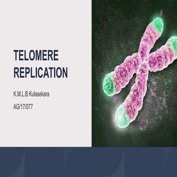 Telomere replication.pptx