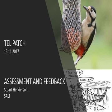 Tel Assessment and Feedback