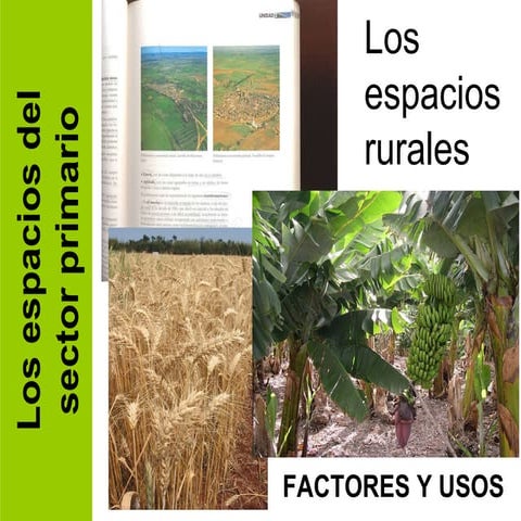 GEO 05.A. Los espacios rurales. Factores y usos