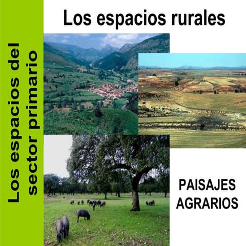 GEO 05.B. Los paisajes agrarios