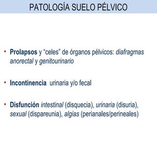 Tema. suelo pélvico. traumatismos