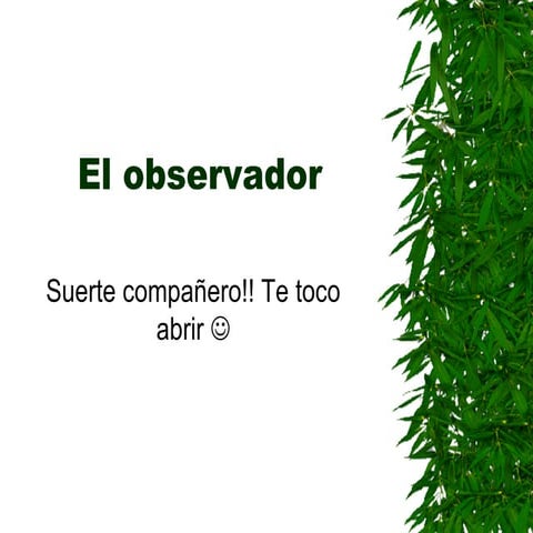 Tema El Observador