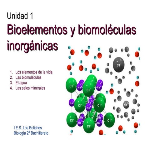 Bioelementos y biomoléculas inorgánicas