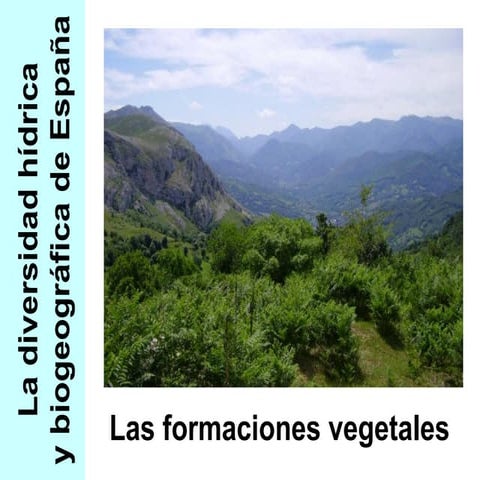 GEO 03 B. Formaciones vegetales