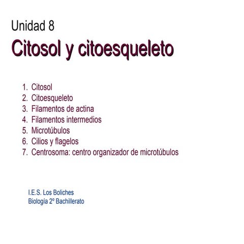 Citosol y citoesqueleto