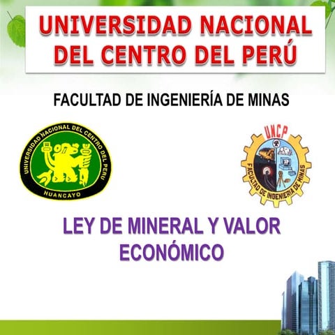Tema 09 mg-ley mineral-valor económico
